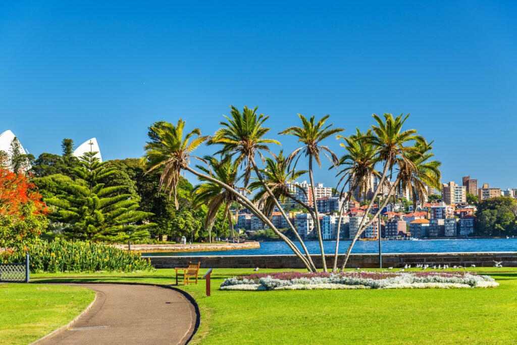 View of Sydney skyline from The Royal Botanic Garden

