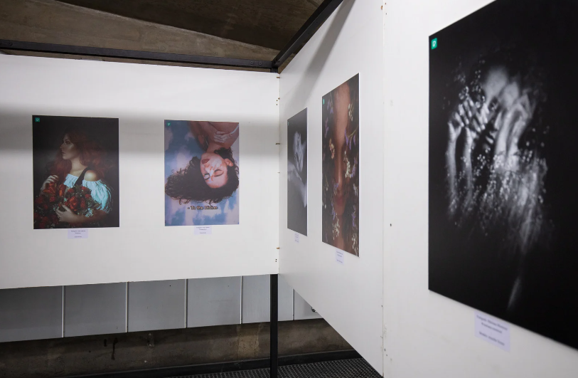art galleries and exhibitions