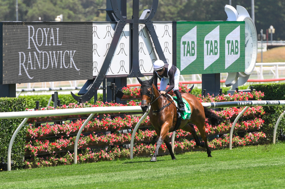 randwick