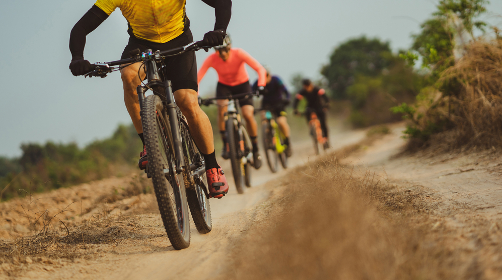 biking the alps to ocean trail