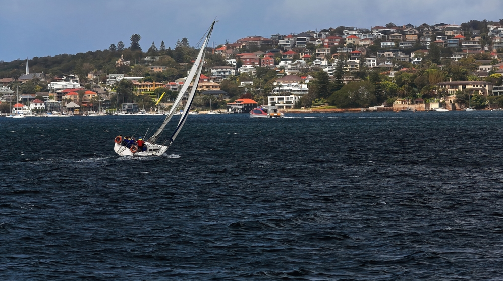 top things to do in double bay