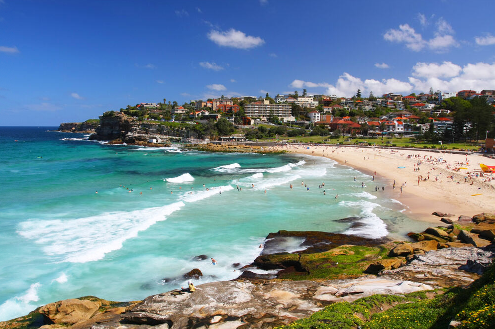 beyond the bay day trips from double bay
