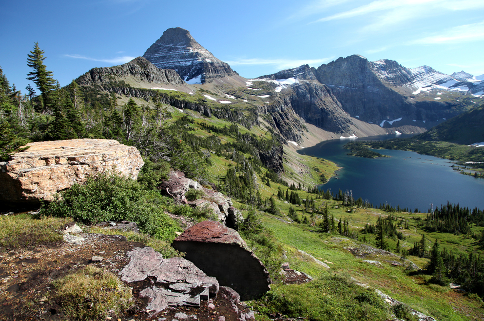 hidden trails and parks double bay's nature escapes