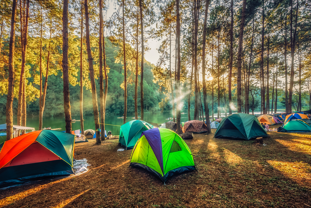 adventure camps and activities offered