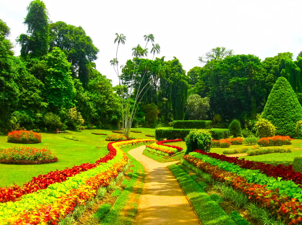 the royal botanic gardens