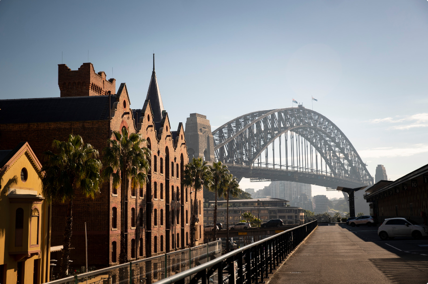 the rocks