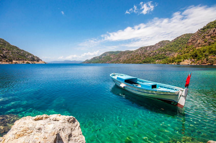 coastal cuisine in double bay
