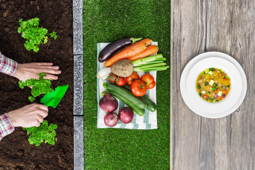 farm to table feasting in double bay