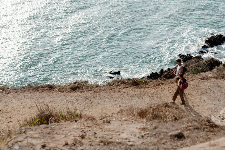 shark beach at nielsen park