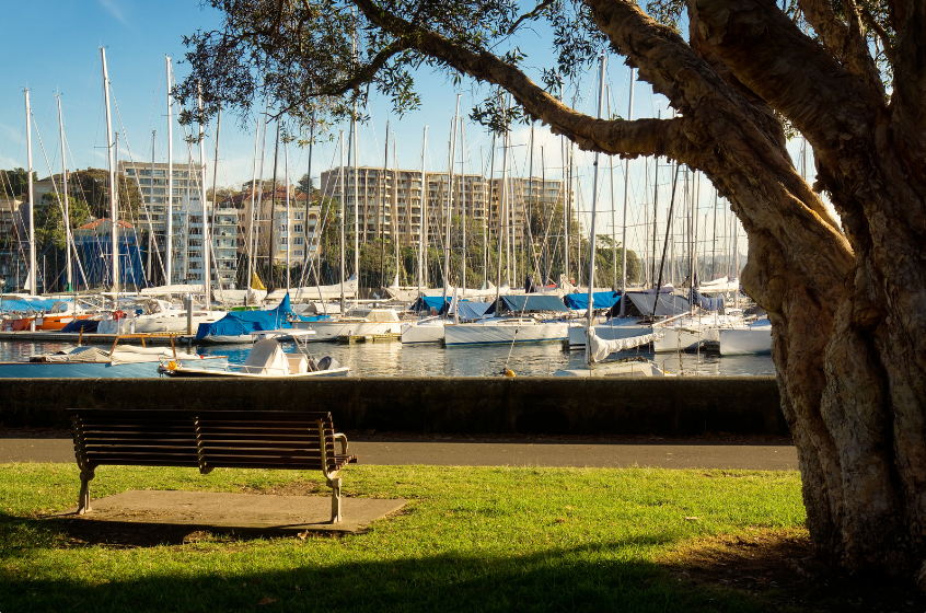 visit dalbora marinas rushcutters bay