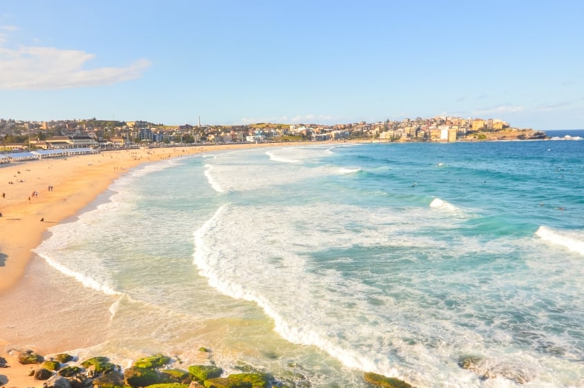 aerial view of a beach