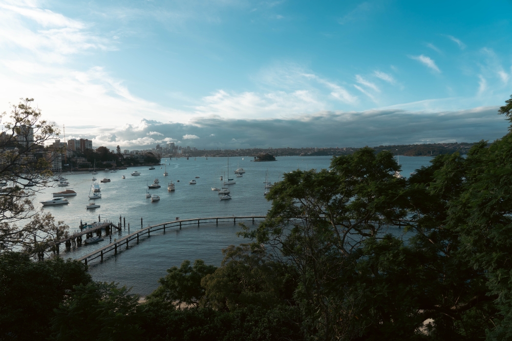 Elevated scenic view of boats anchored in a calm harbor framed by lush green trees